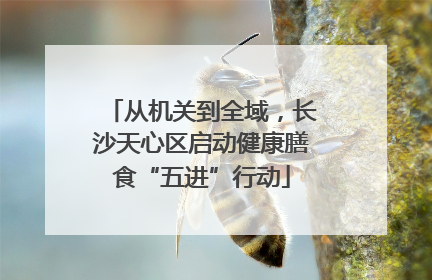 从机关到全域，长沙天心区启动健康膳食“五进”行动