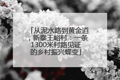 从泥水路到黄金道，新泰王峪村：一条1300米村路见证的乡村振兴蝶变