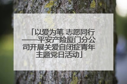 以爱为笔 志愿同行——平安产险厦门分公司开展关爱自闭症青年主题党日活动