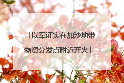 以军证实在加沙地带物资分发点附近开火