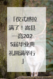 仪式感拉满了！嵩县一高2025届毕业典礼圆满举行