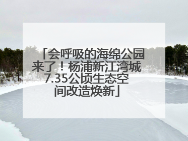 会呼吸的海绵公园来了！杨浦新江湾城7.35公顷生态空间改造焕新