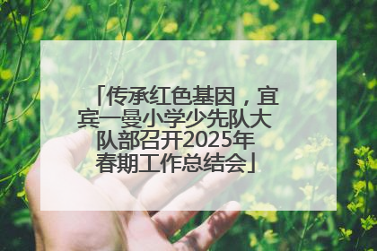 传承红色基因，宜宾一曼小学少先队大队部召开2025年春期工作总结会