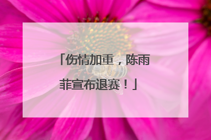 伤情加重，陈雨菲宣布退赛！