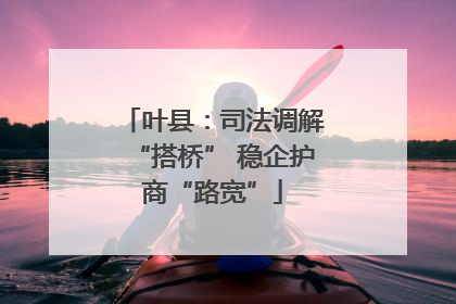 叶县：司法调解“搭桥” 稳企护商“路宽”
