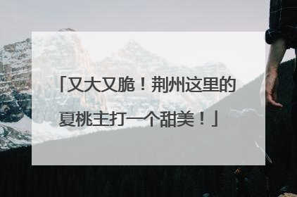 又大又脆！荆州这里的夏桃主打一个甜美！