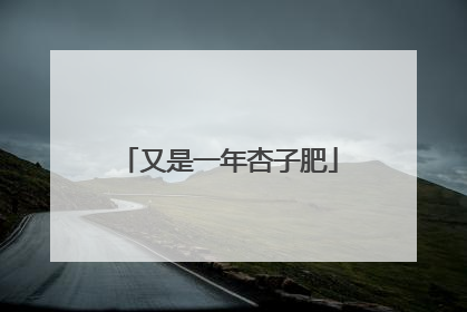又是一年杏子肥