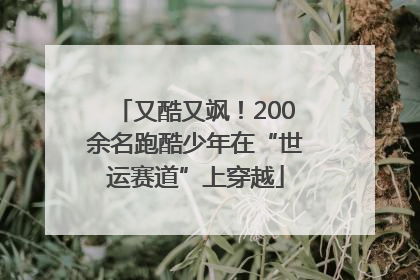 又酷又飒！200余名跑酷少年在“世运赛道”上穿越