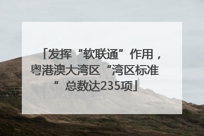 发挥“软联通”作用，粤港澳大湾区“湾区标准”总数达235项