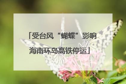 受台风“蝴蝶”影响 海南环岛高铁停运