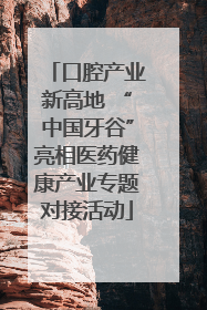 口腔产业新高地 “中国牙谷”亮相医药健康产业专题对接活动