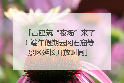 古建筑“夜场”来了！端午假期云冈石窟等景区延长开放时间