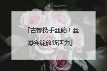 古都携手丝路！丝博会绽放新活力