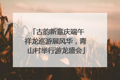 古韵新章庆端午 祥龙巡游展风华，青山村举行游龙盛会