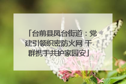 台前县凤台街道：党建引领织密防火网 干群携手共护家园安