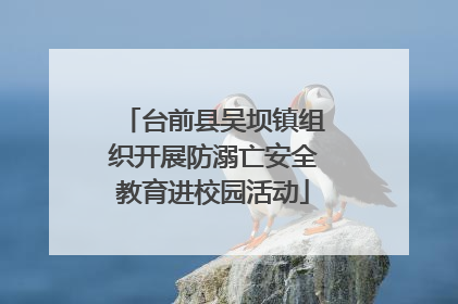 台前县吴坝镇组织开展防溺亡安全教育进校园活动
