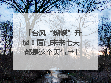 台风“蝴蝶”升级！厦门未来七天都是这个天气→