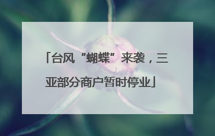 台风“蝴蝶”来袭，三亚部分商户暂时停业