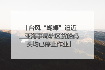 台风“蝴蝶”迫近 三亚海事局辖区货船码头均已停止作业
