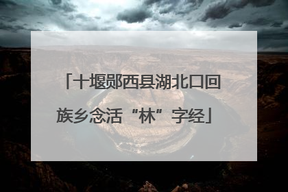 十堰郧西县湖北口回族乡念活“林”字经