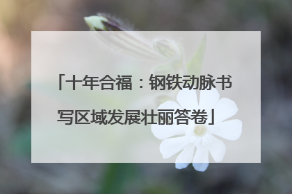 十年合福：钢铁动脉书写区域发展壮丽答卷