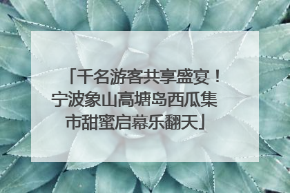 千名游客共享盛宴！宁波象山高塘岛西瓜集市甜蜜启幕乐翻天