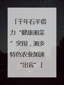 千年石羊借力“健康湘菜”突围，湘乡特色农业加速“出省”