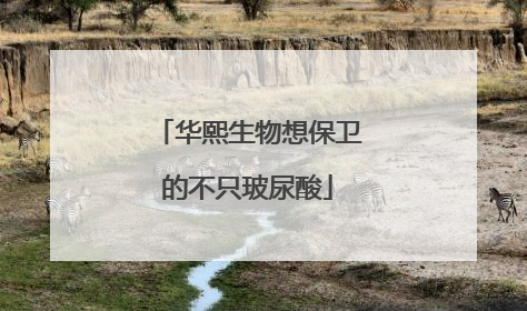 华熙生物想保卫的不只玻尿酸
