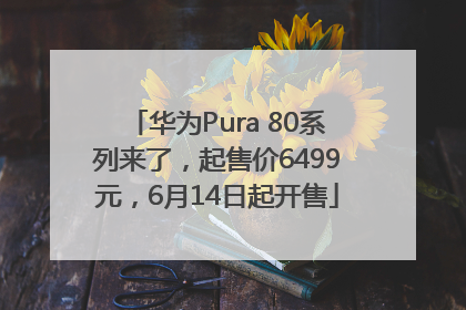 华为Pura 80系列来了，起售价6499元，6月14日起开售
