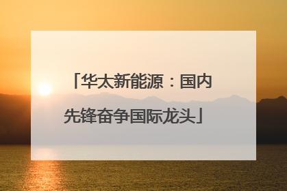 华太新能源：国内先锋奋争国际龙头