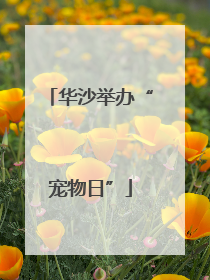 华沙举办“宠物日”