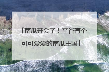 南瓜开会了！平谷有个可可爱爱的南瓜王国