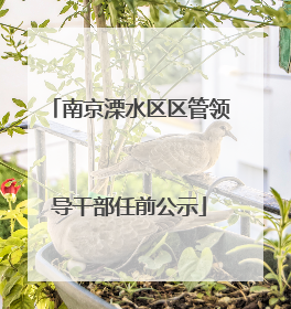 南京溧水区区管领导干部任前公示