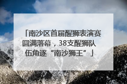 南沙区首届醒狮表演赛圆满落幕，38支醒狮队伍角逐“南沙狮王”