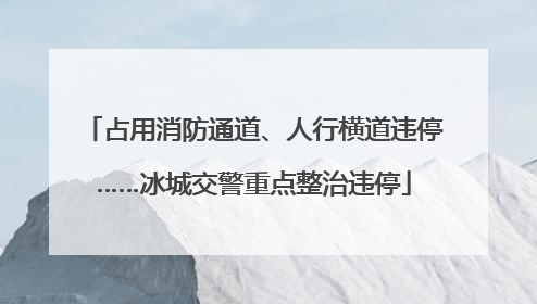 占用消防通道、人行横道违停……冰城交警重点整治违停