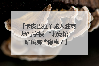 卡皮巴拉羊驼入驻商场写字楼 “萌宠馆”暗藏哪些隐患？