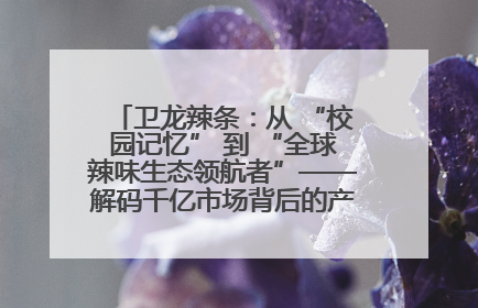 卫龙辣条：从 “校园记忆” 到 “全球辣味生态领航者”——解码千亿市场背后的产品创新与全链路破圈
