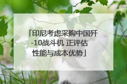 印尼考虑采购中国歼-10战斗机 正评估性能与成本优势