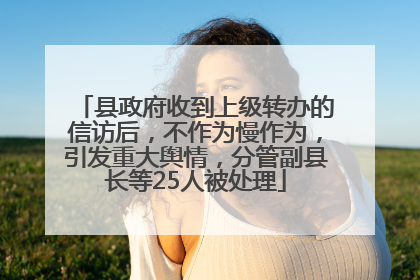 县政府收到上级转办的信访后，不作为慢作为，引发重大舆情，分管副县长等25人被处理