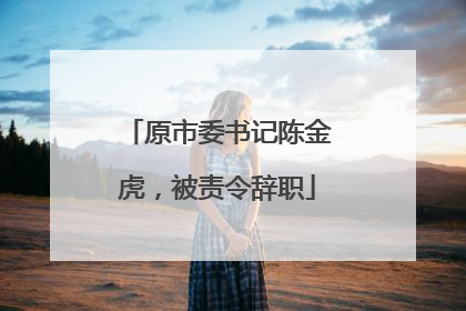 原市委书记陈金虎，被责令辞职