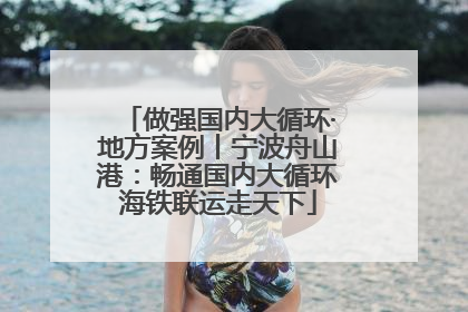 做强国内大循环·地方案例丨宁波舟山港：畅通国内大循环海铁联运走天下
