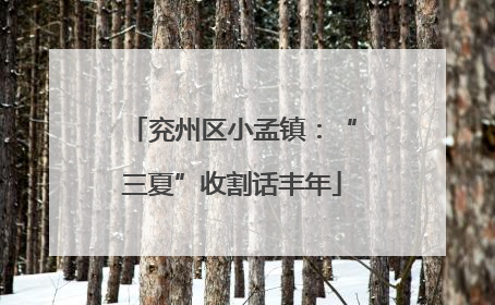 兖州区小孟镇：“三夏”收割话丰年