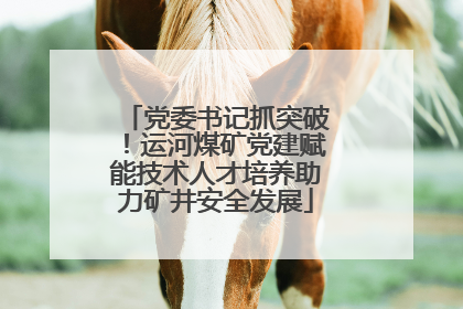 党委书记抓突破！运河煤矿党建赋能技术人才培养助力矿井安全发展