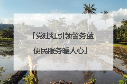 党建红引领警务蓝 便民服务暖人心