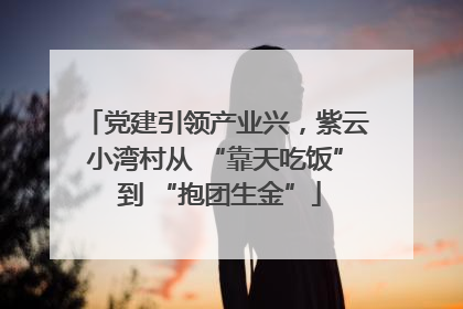 党建引领产业兴，紫云小湾村从 “靠天吃饭” 到 “抱团生金”