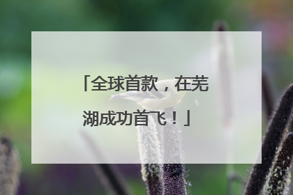 全球首款，在芜湖成功首飞！
