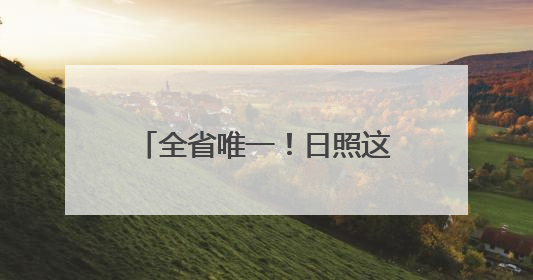全省唯一！日照这一案例成功入选！