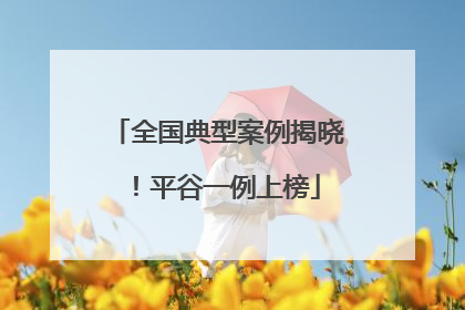 全国典型案例揭晓！平谷一例上榜