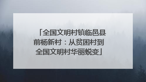 全国文明村镇临邑县前杨新村：从贫困村到全国文明村华丽蜕变
