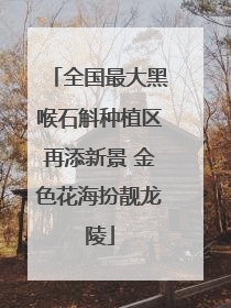 全国最大黑喉石斛种植区再添新景 金色花海扮靓龙陵
